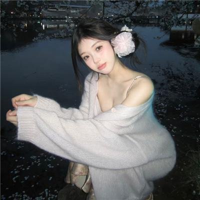 驯龙宝典